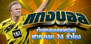 เว็บแทงบอลfifa55